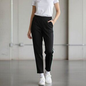 Aritzia Wilfred Tuxedo Pant Navy Side Stripe Trousers Pleated Size 00 Business